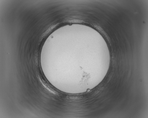 X0000080710533200701121820