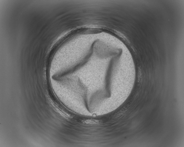 X0000080710535200701121820