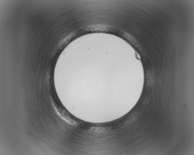 X0000080710538200701121820