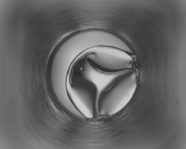 X0000080710540200701121820