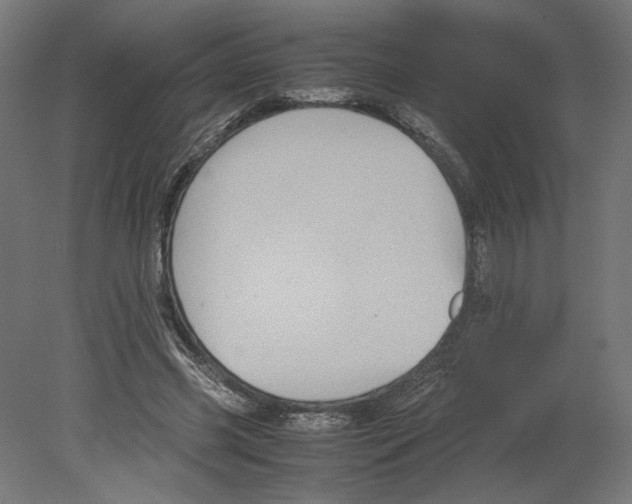 X0000080710541200701121820