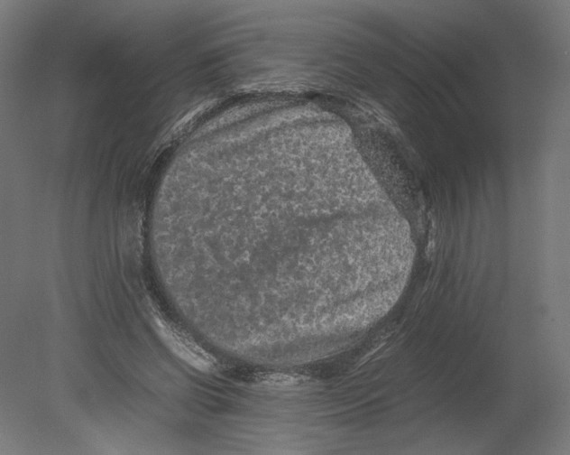 X0000080710542200701121820