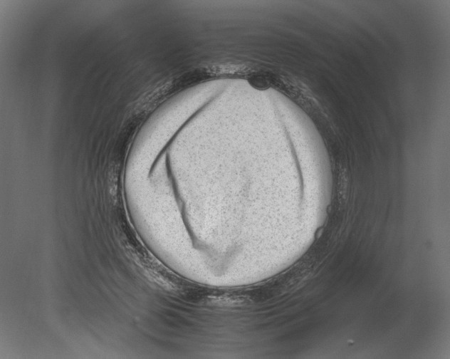 X0000080710545200701121820