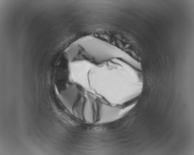 X0000080710546200701121820