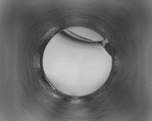 X0000080710547200701121820