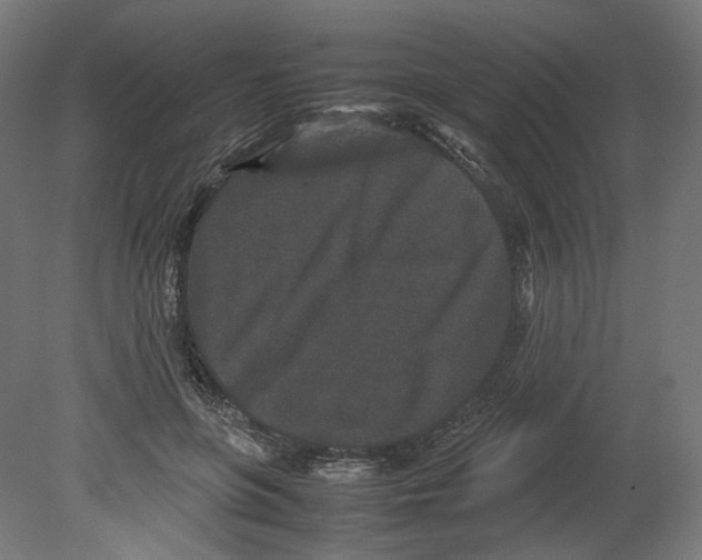 X0000080710551200701121820