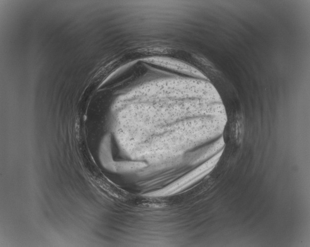 X0000080710552200701121820