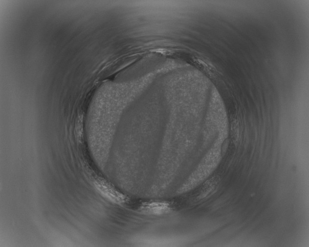 X0000080710554200701121820