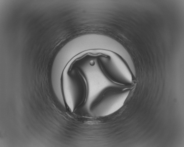 X0000080710556200701121820