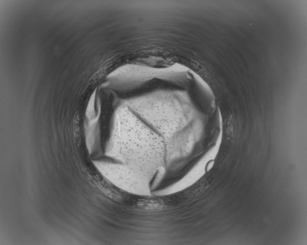 X0000080710559200701121820