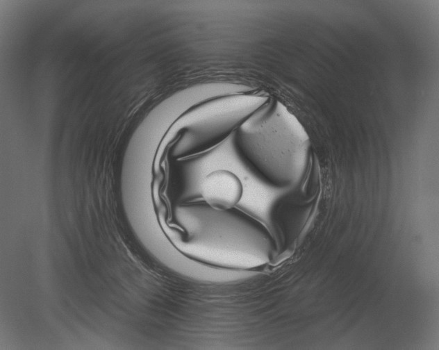 X0000080710560200701121820