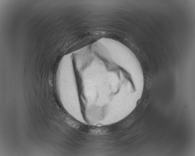 X0000080710561200701121820