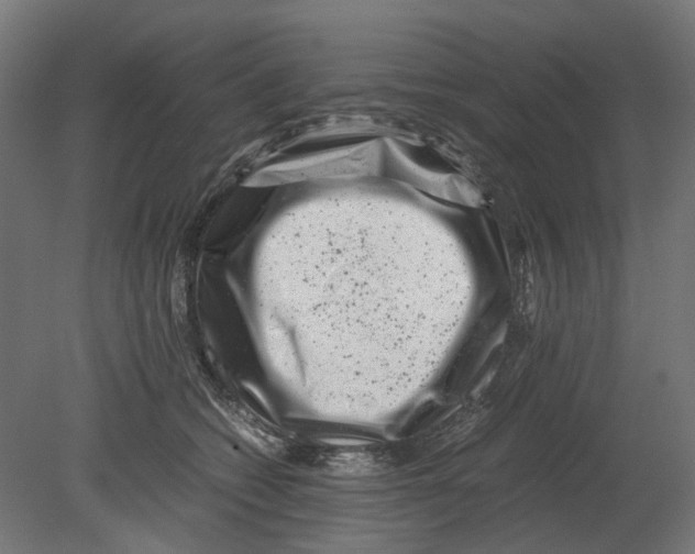 X0000080710562200701121820