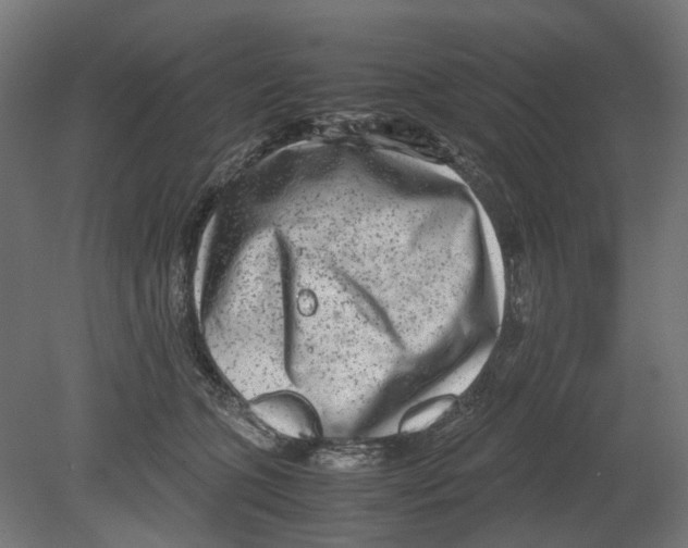 X0000080710563200701121820