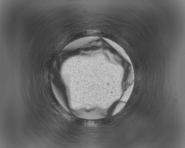 X0000080710565200701121820