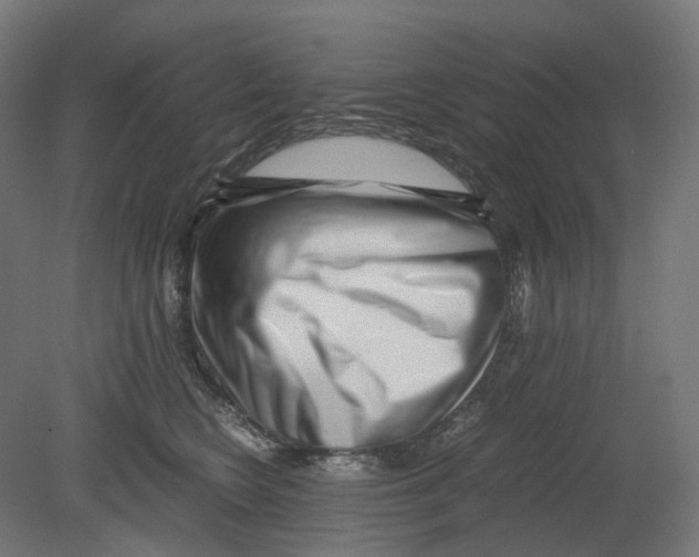 X0000080710566200701121820