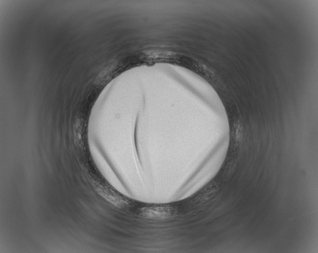 X0000080710567200701121820