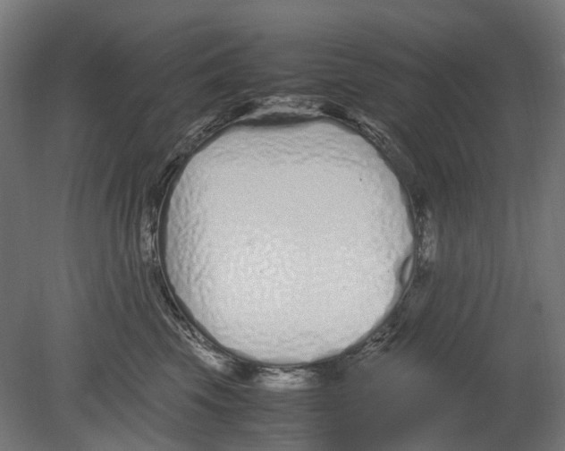 X0000080710569200701121820