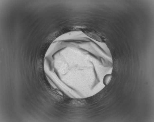 X0000080710571200701121820