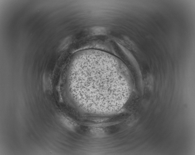 X0000080710572200701121820