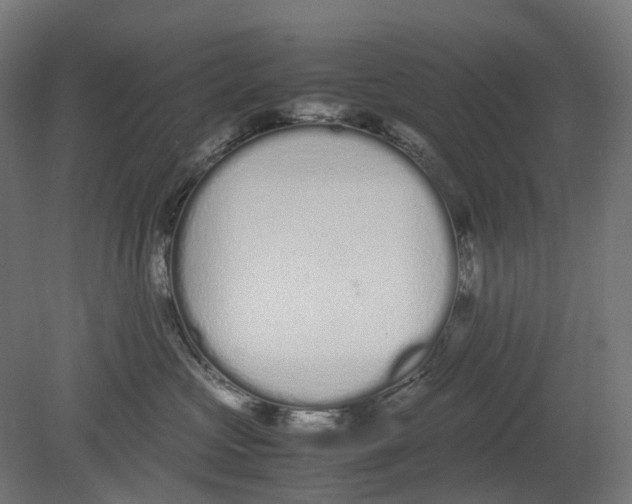 X0000080710573200701121820