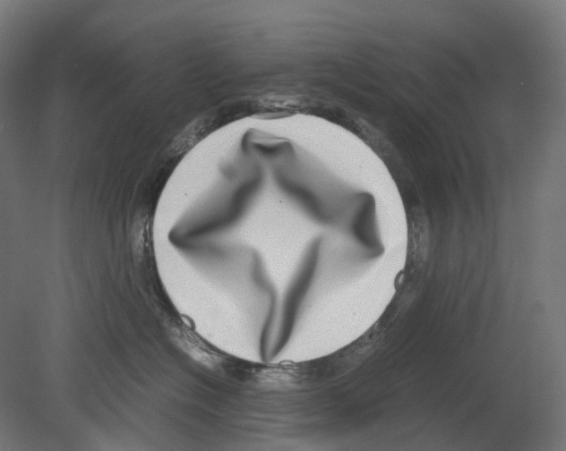 X0000080710574200701121820