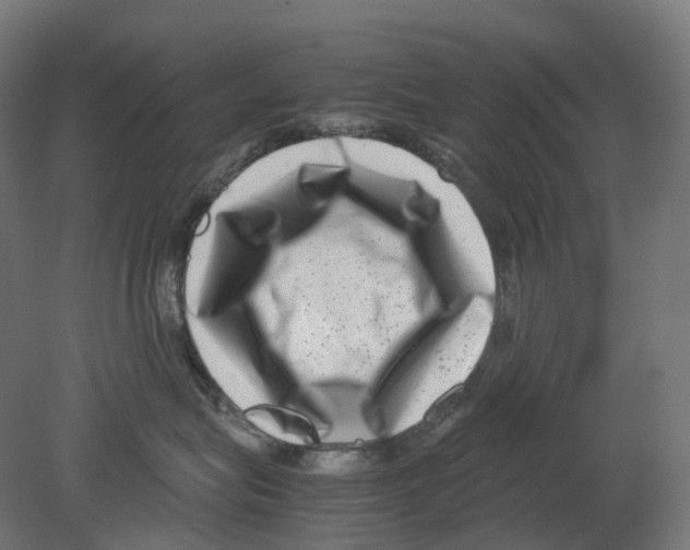 X0000080710575200701121820