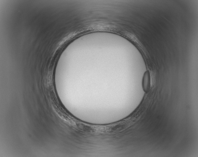 X0000080710579200701121820