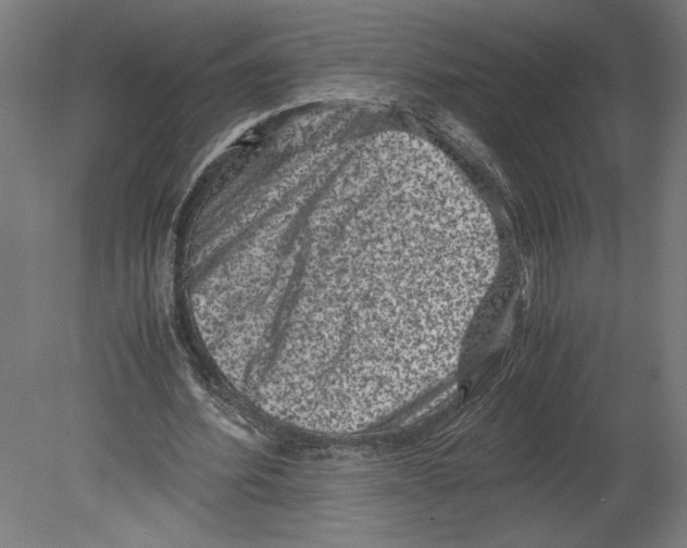 X0000080710580200701121820