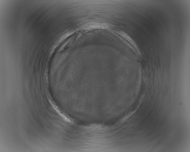 X0000080710581200701121820