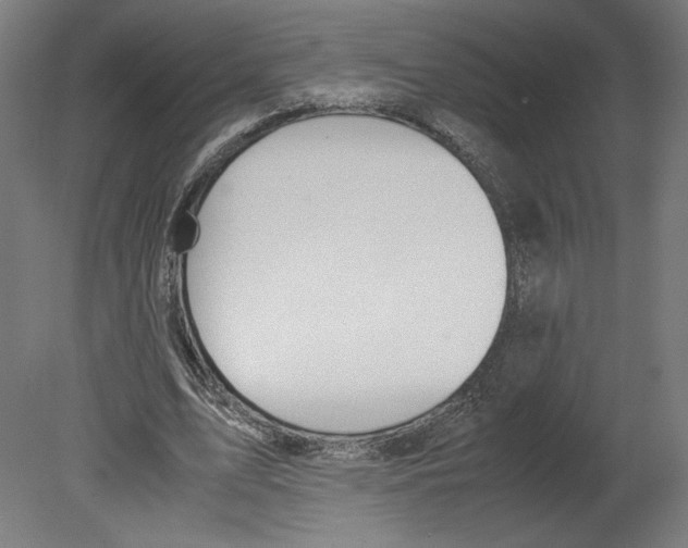 X0000080710583200701121820