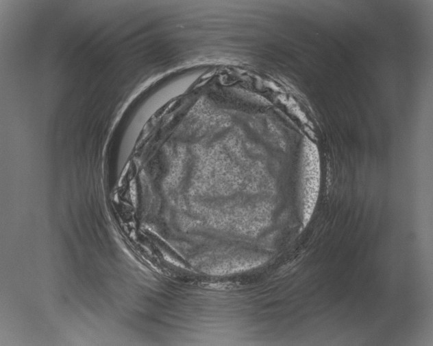 X0000080710584200701121820