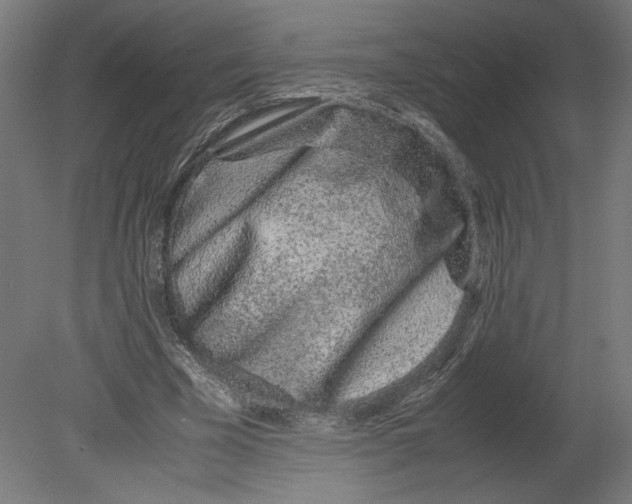 X0000080710585200701121820