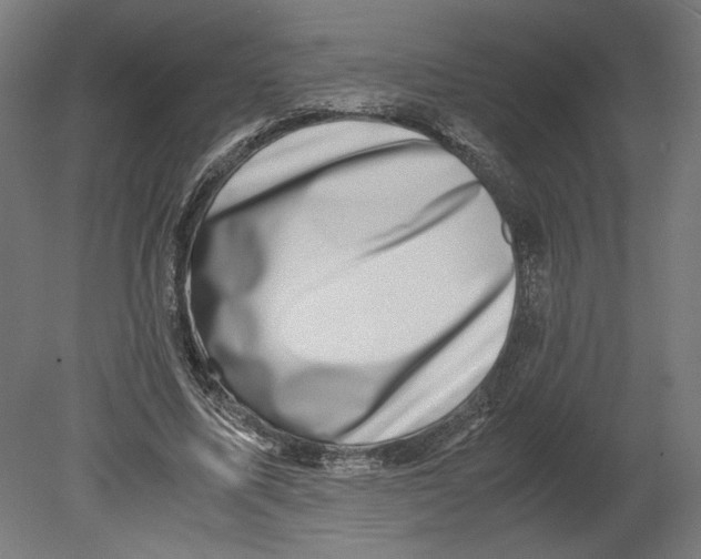 X0000080710587200701121820