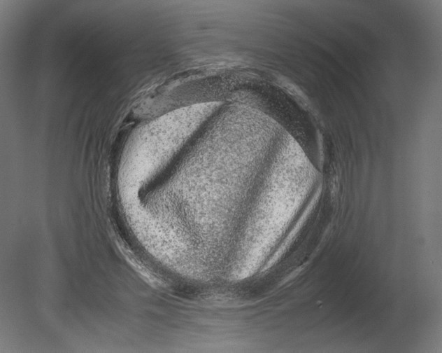 X0000080710589200701121819