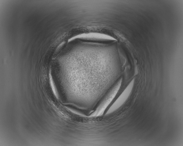 X0000080710593200701121819