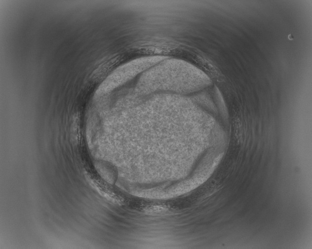 X0000080710594200701121819