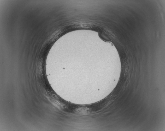 X0000080710595200701121819