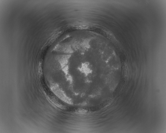 X0000080710598200701121819