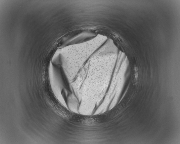 X0000080710600200701121819