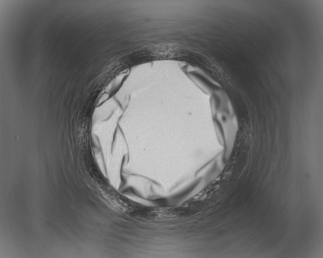 X0000080710601200701121819