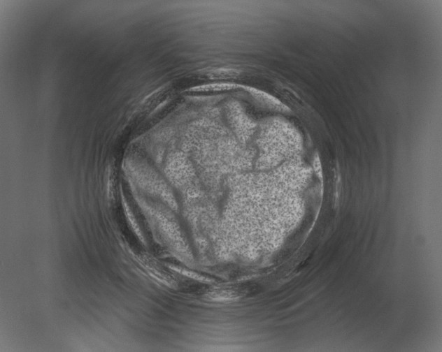 X0000080710604200701121819