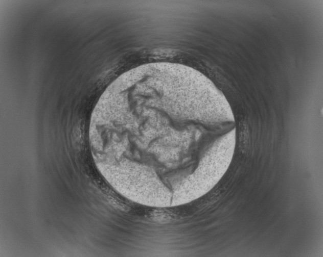 X0000080710608200701121819