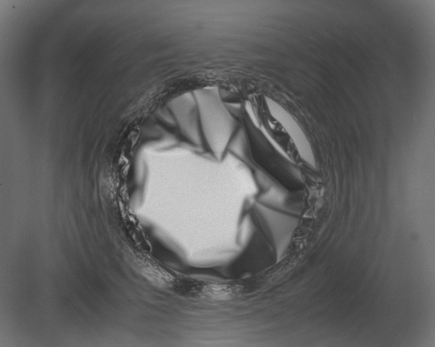 X0000080710613200701121819