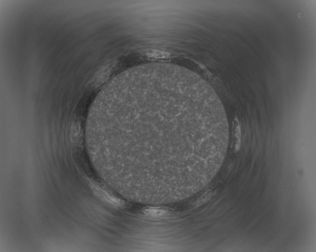 X0000080710614200701121819