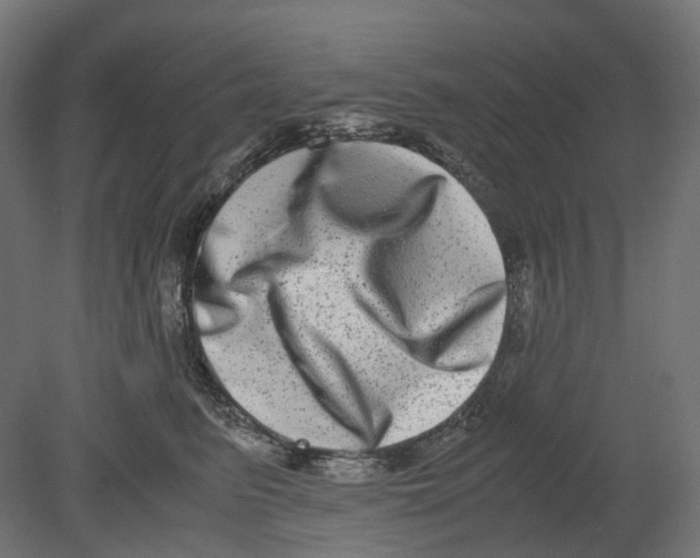 X0000080710615200701121819