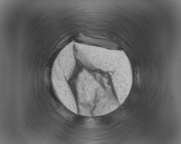 X0000080710616200701121819