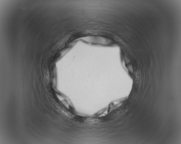 X0000080710617200701121819