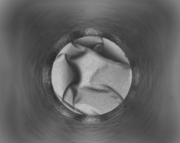 X0000080710619200701121819