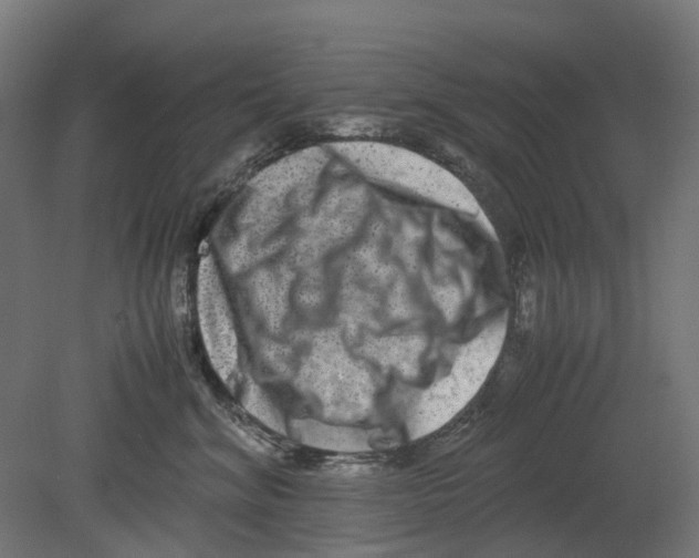 X0000080710620200701121819